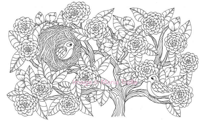 Maria Trolle - Twilight Garden Coloring Book