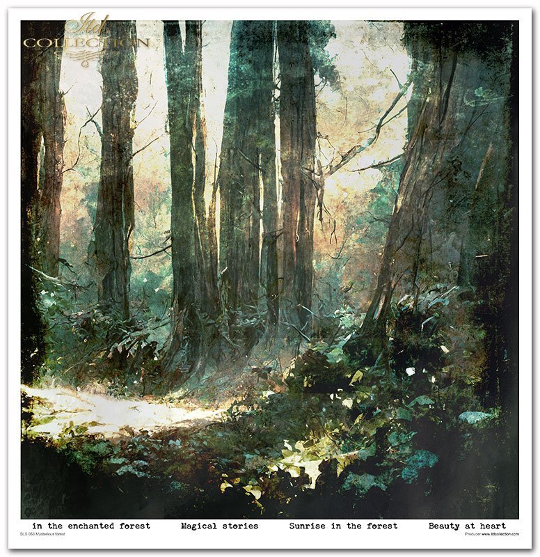 ITD Collection - Mysterious Forest Scrapbooking Papers