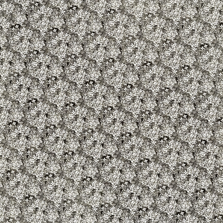 Graphic 45 - Outlandish Odyssey 12×12 Single Sheet