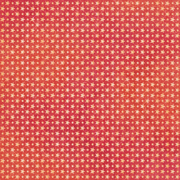 Graphic 45 - Seas the Day - Coral Red Pattern & Solid Sheet 12×12 Paper