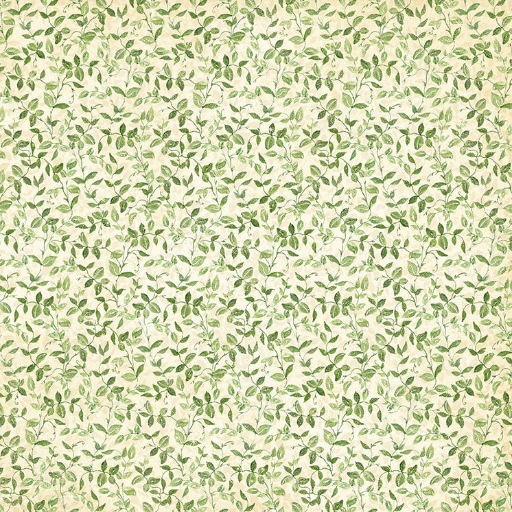 Graphic 45 - Fairy Boutique - Enchanted Forest 12×12 Paper