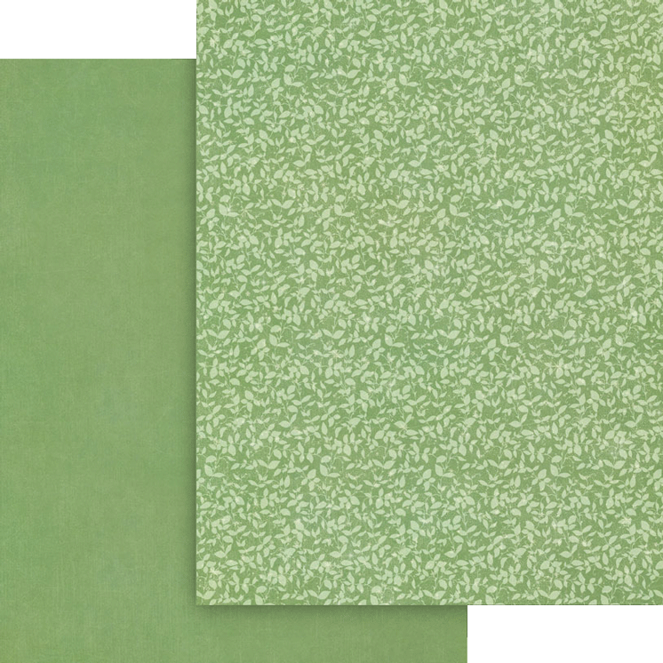 Graphic 45 - Fairy Boutique - 8.5 x 11 Patterns & Solids Pack