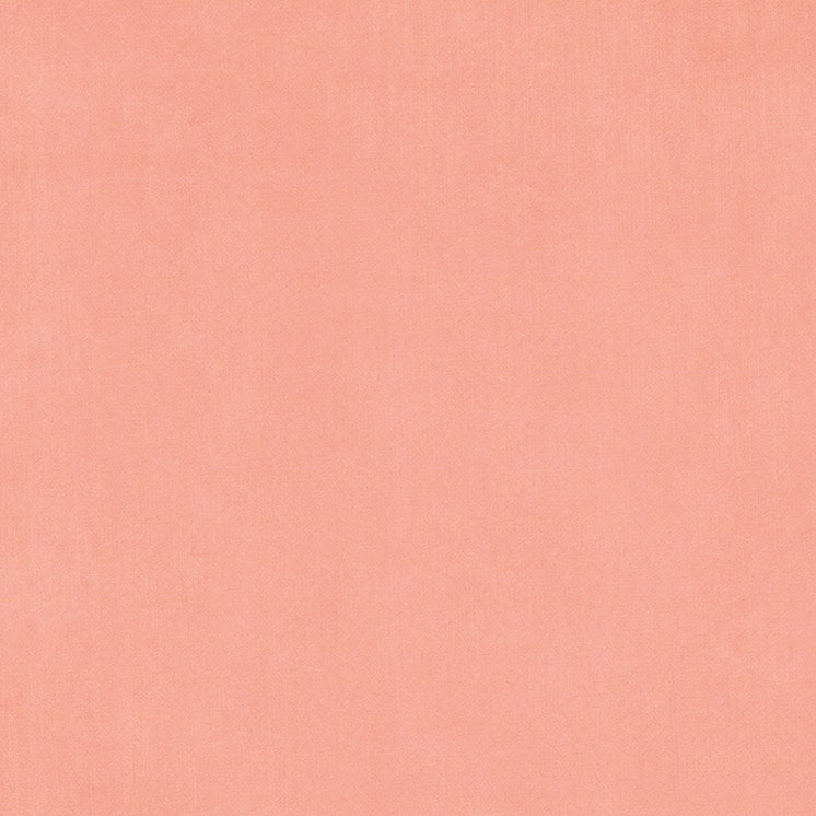 Graphic 45 - Fairy Boutique - Posey Pink Pattern & Solid Sheet 12×12 Paper