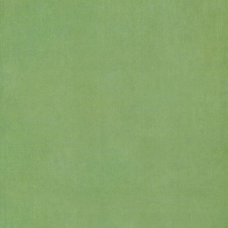 Graphic 45 - Fairy Boutique - Spring Green Pattern & Solid Sheet 12×12 Paper