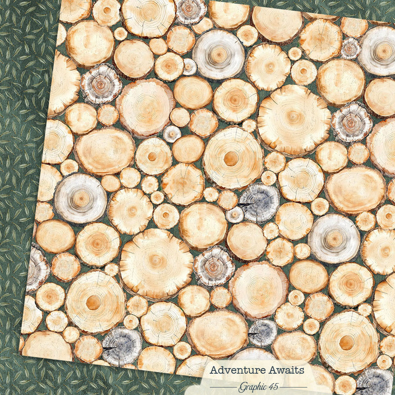 Graphic 45 - Adventure Awaits - 12 x 12 Double Sided Paper - Tree Rings