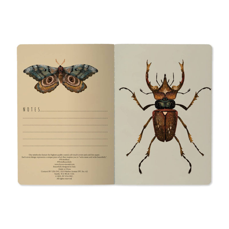 BV by Bruno Visconti - Entomology