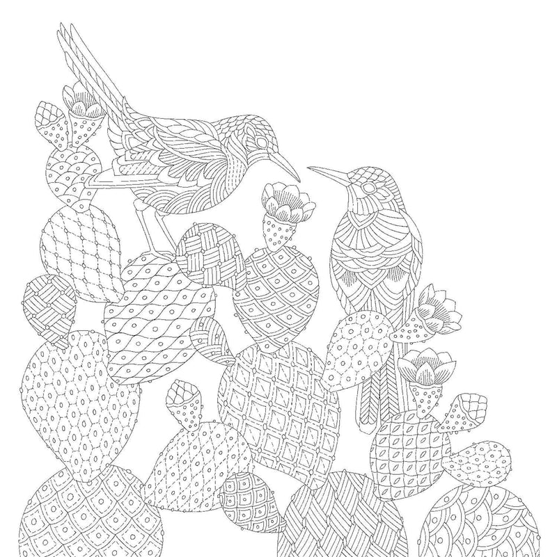 Millie Marotta - Animal Adventures Coloring Book