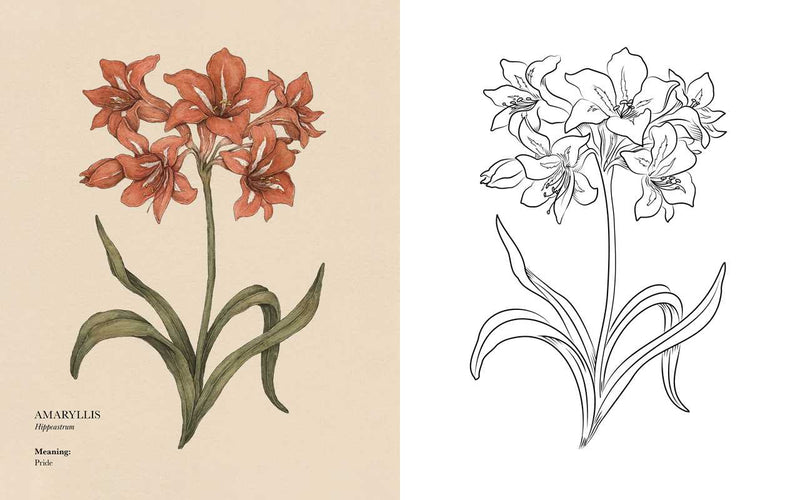 Jessica Roux - Floriography Coloring Book