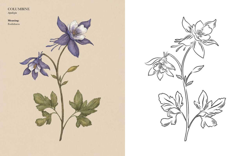 Jessica Roux - Floriography Coloring Book