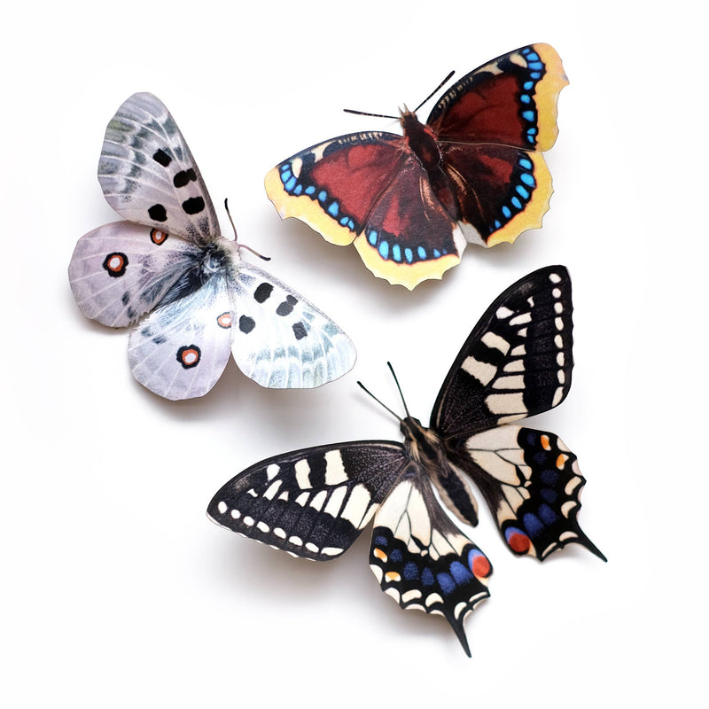 Moth and Myth - "Rocky Mountains" 3 Piece Butterfly Set