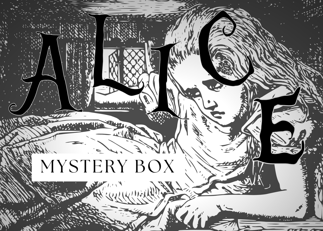 Mystery Boxes
