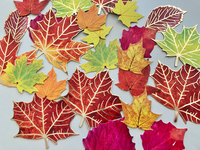 Paper House Productions - Scrapbook Stickers - Fall Leaves Die-cut Sticker Pack
