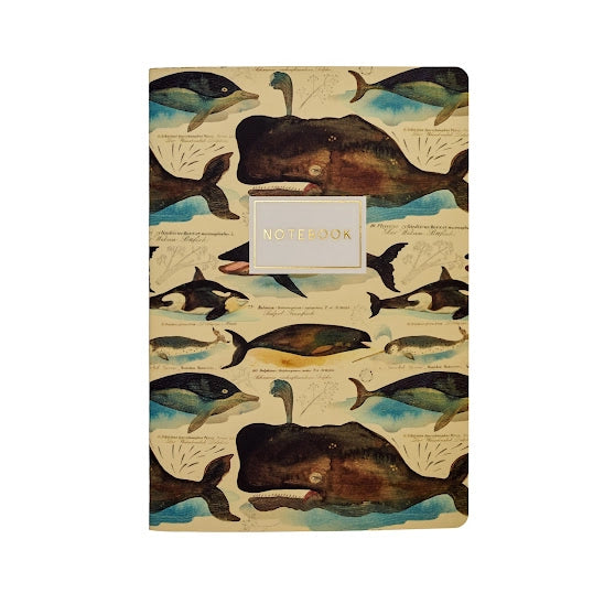 BV by Bruno Visconti - Whales Notebook