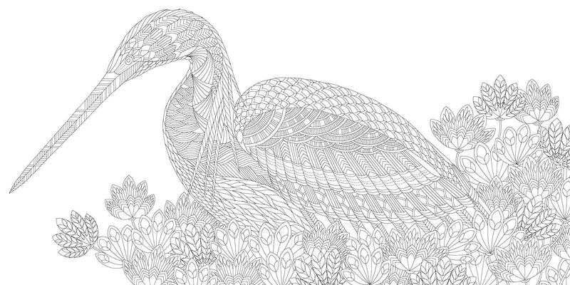 Millie Marotta - Beautiful Birds and Treetops Coloring Book