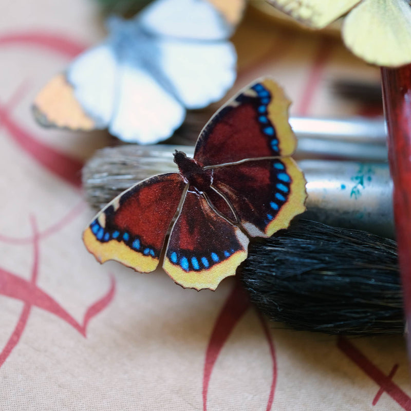 Moth and Myth - 'North American' Butterfly Micro Collection