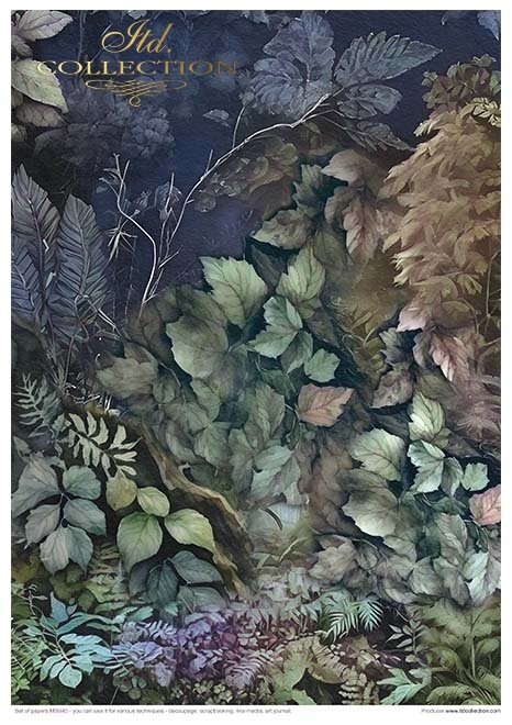 ITD Collection - Mysterious Creatures Creative Set