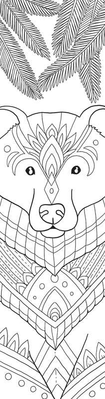 Rockpool Publishing - Animals Coloring Bookmarks