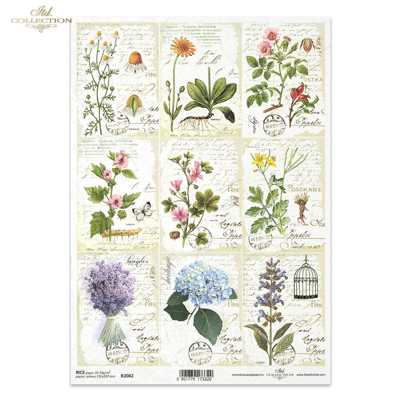 ITD Collection - Herbalist - Rice Paper - R2082