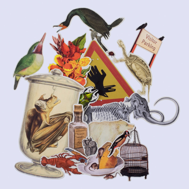 Eliza Scott - Cut Up This Book and Create Your Own Underworld