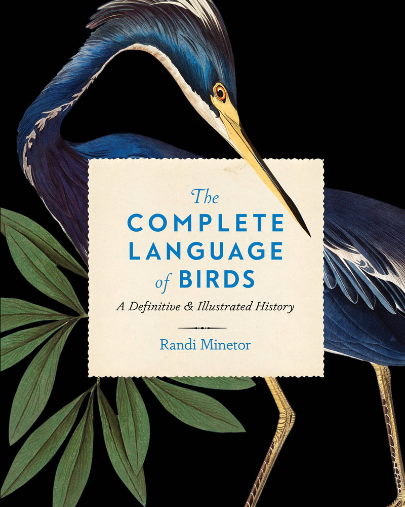 Randi Minetor - Complete Language Of Birds