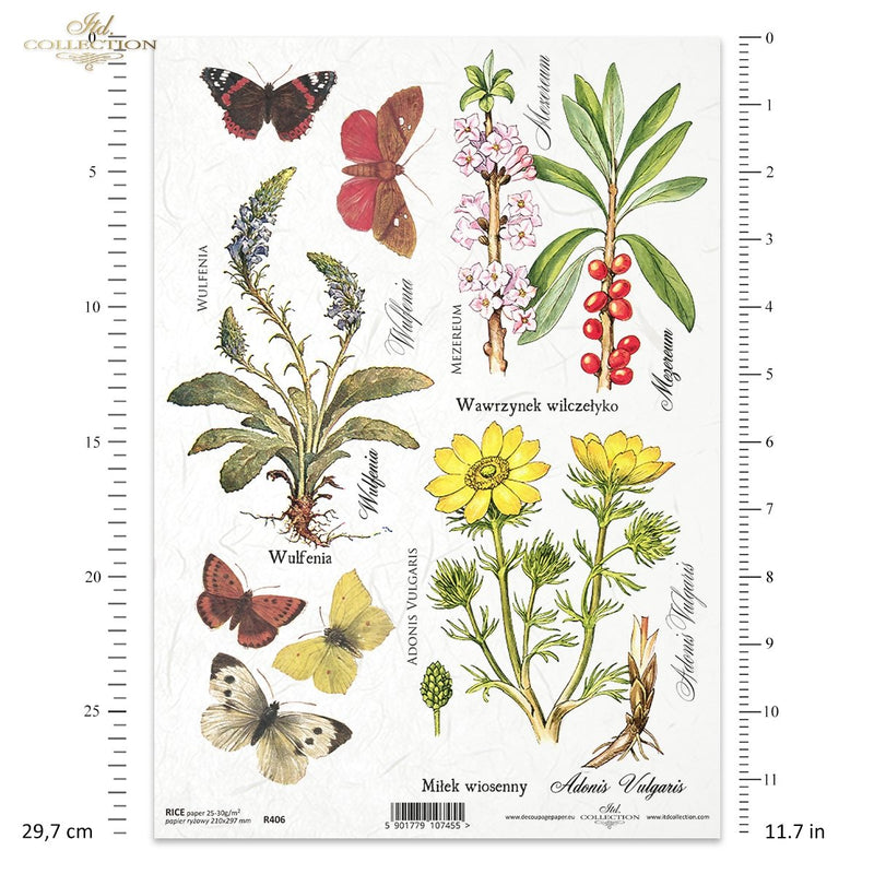 ITD Collection - Herbalist - Rice Paper - R0406