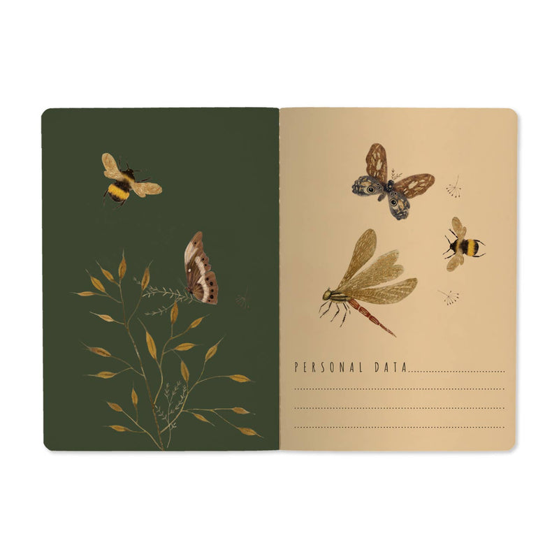 BV by Bruno Visconti - Butterflies and Friends