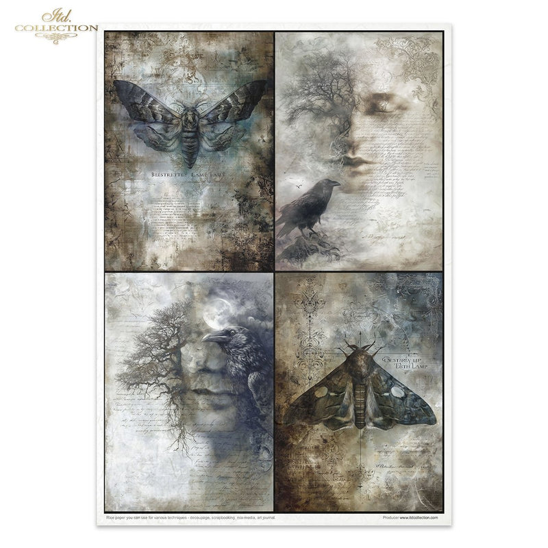 ITD Collection - Light & Shadow Part 2 Rice Paper Set