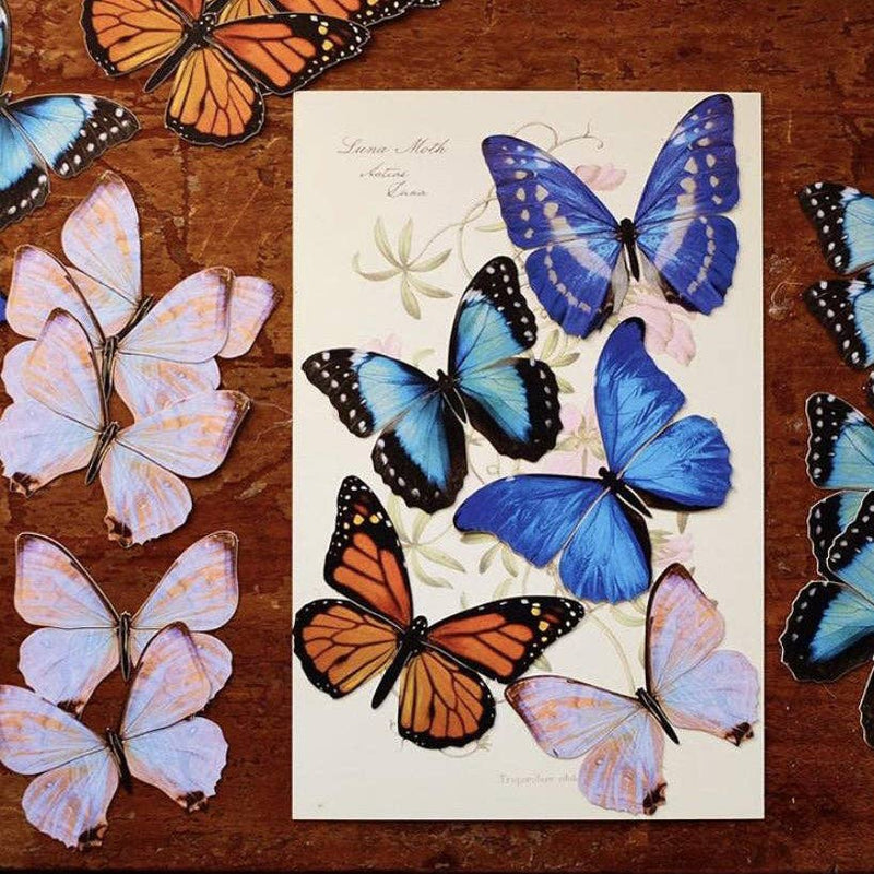 Moth and Myth - Morphos and Monarch Butterfly Set