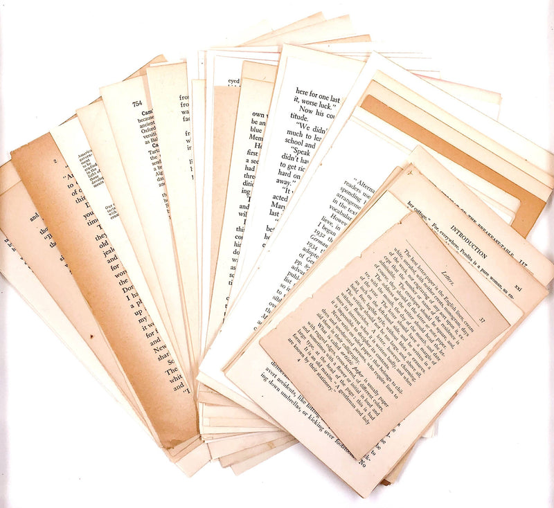 Moonbeam Mercantile - Vintage Book Pages Bundle