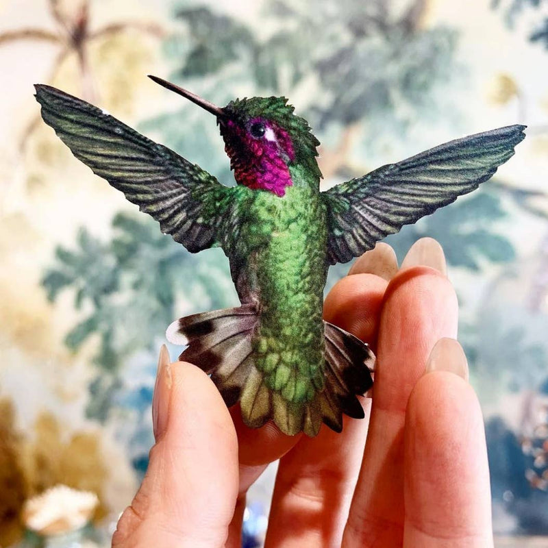 Moth and Myth - Flutter Hummingbird 3-Pack