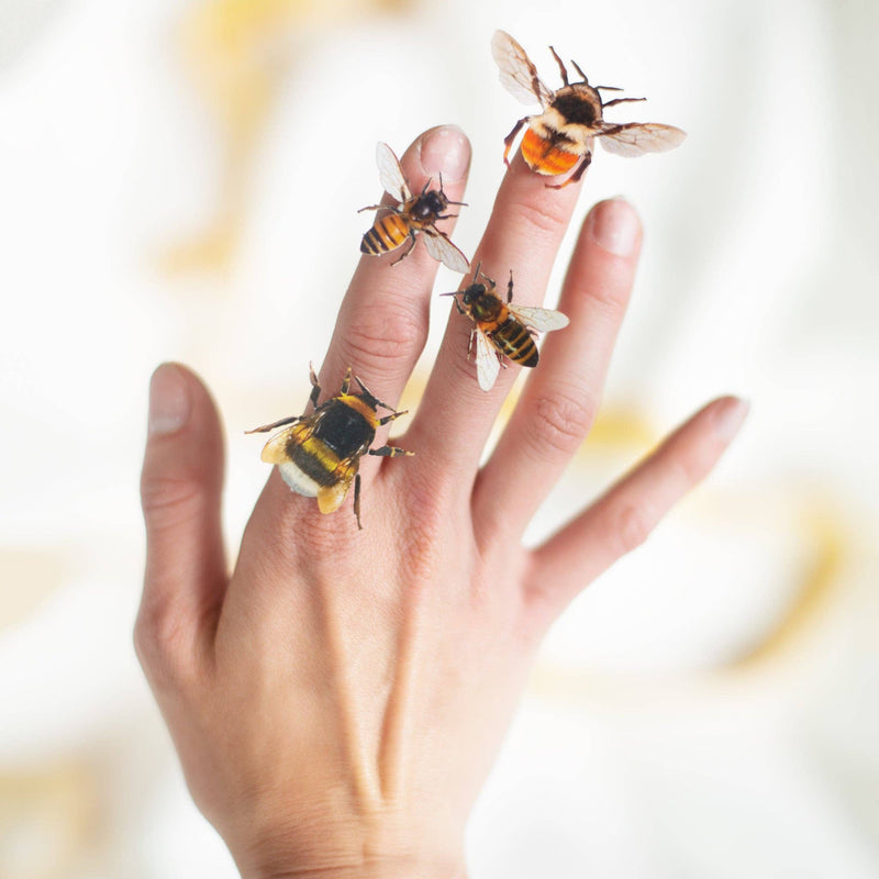 Moth and Myth - 'The Bees Knees' Collection 12 Piece Set