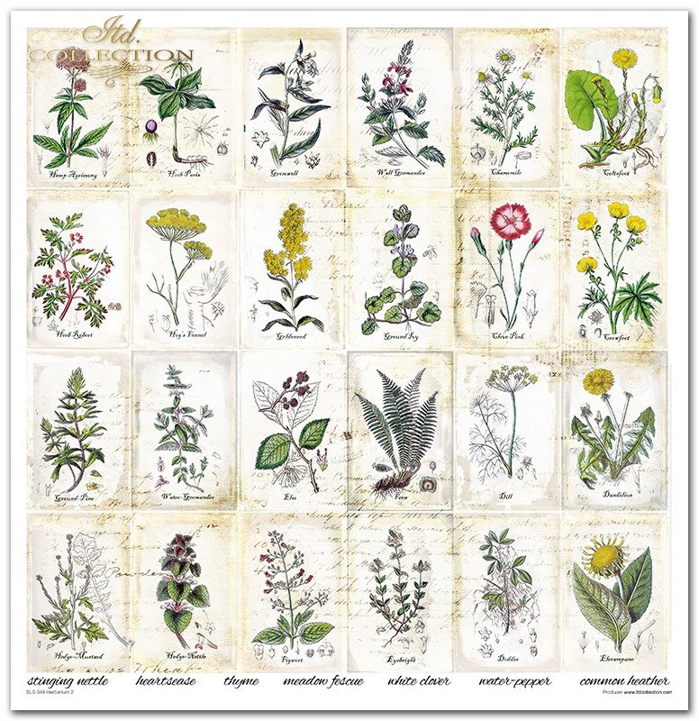 ITD Collection - Herbarium 2 Scrapbooking Papers