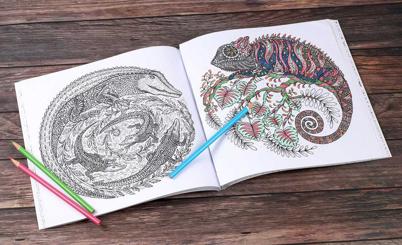 Meni Chatzipanagiotou - Coloring Book - Circle of Life