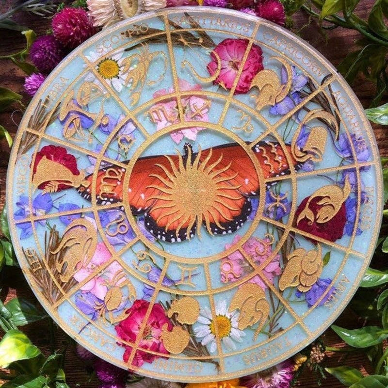 Moth and Myth - 'Pollinator' Monarch Butterfly Set