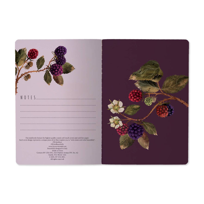 BV by Bruno Visconti - Wild Blackberry