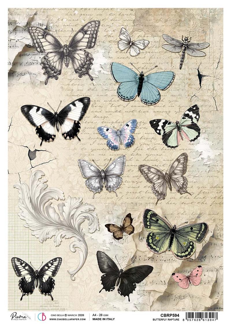 Ciao Bella - Typographic - Rice Paper - A4 Butterfly Rapture