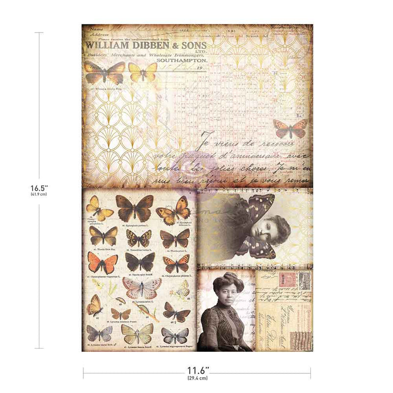 Prima Marketing - Finnabair Collection -  A3 Decoupage Fiber Paper – Southampton Butterflies