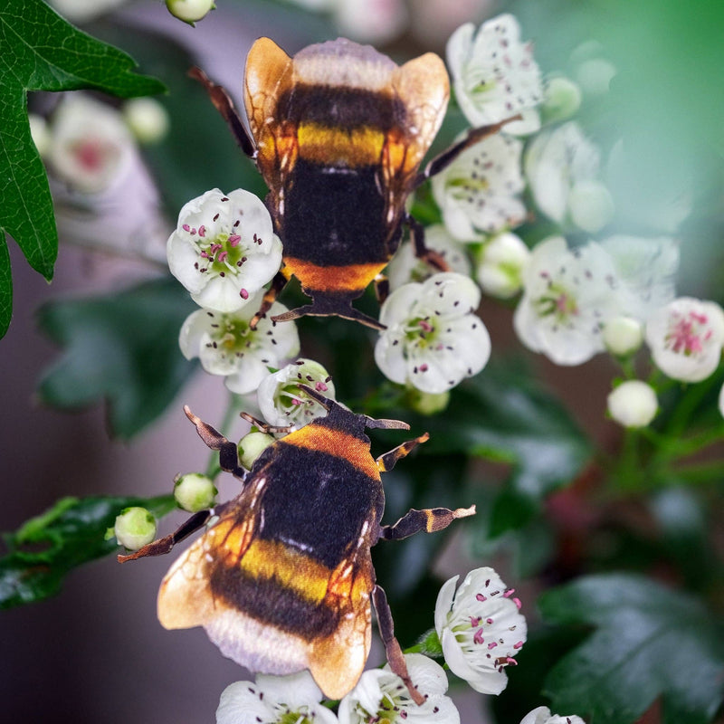 Moth and Myth - 'The Bees Knees' Collection 12 Piece Set