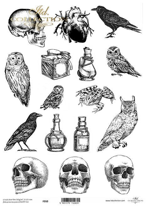 ITD Collection - Halloween Clear Film