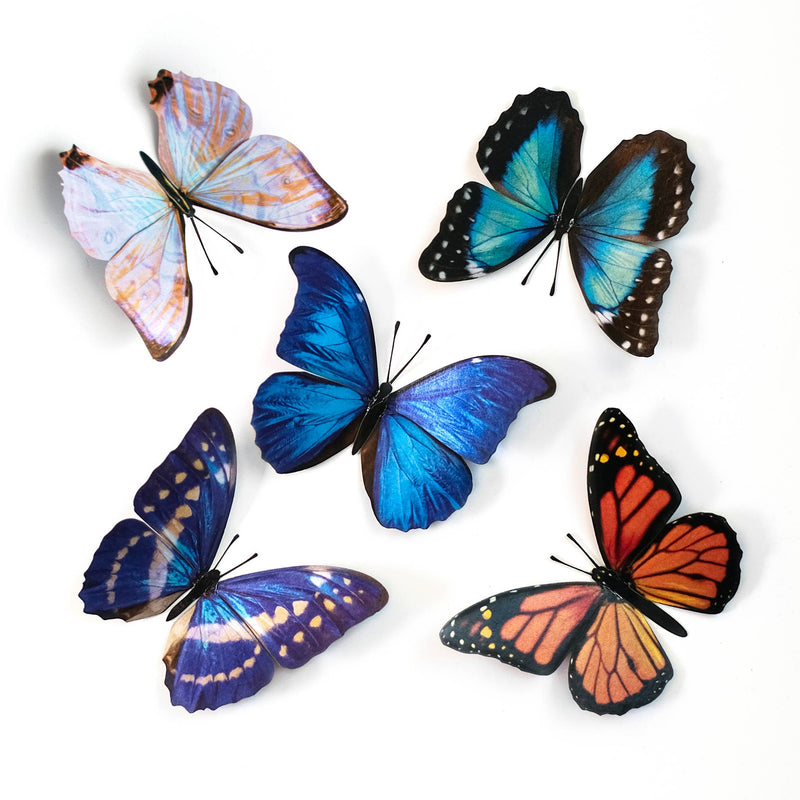 Moth and Myth - Morphos and Monarch Butterfly Set