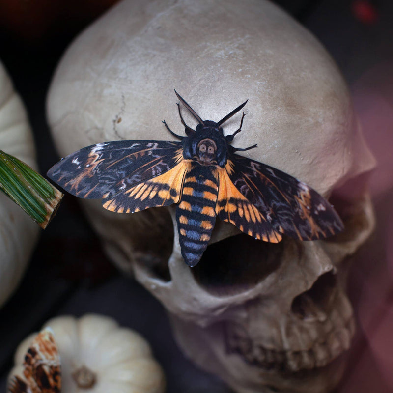 Moth and Myth - Halloween Death's Head Paper Moth Set