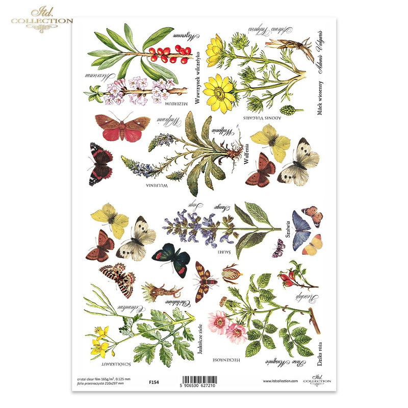 ITD Collection - Clear Film - F154