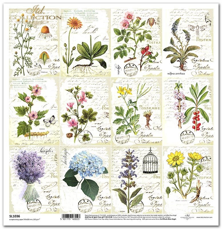 ITD Collection - Herbarium - 12 Tags - Scrapbooking Single Sheet