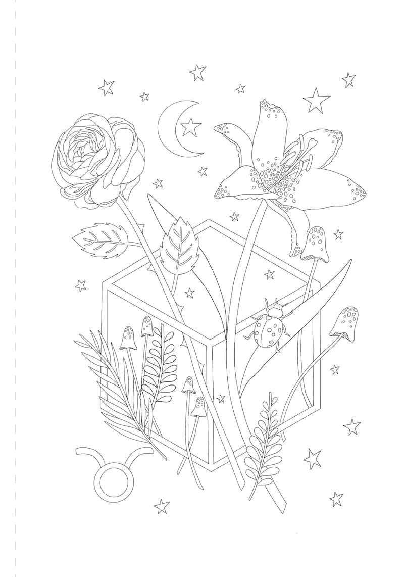 Sofia Liotta - A Mystical Coloring Book - Zodiac Magic