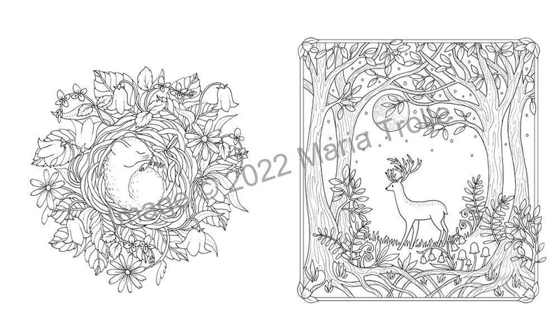 Maria Trolle - Moon Valley Coloring Book