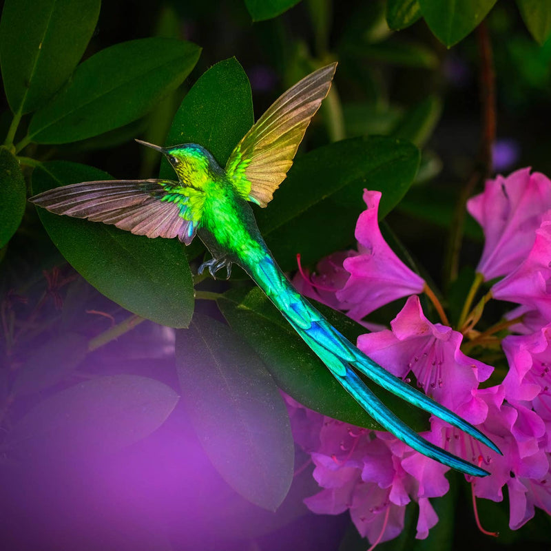 Moth and Myth - 'Sylph' Hummingbird Set