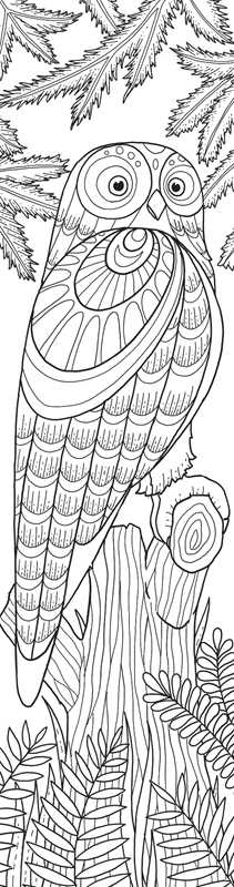 Rockpool Publishing - Animals Coloring Bookmarks