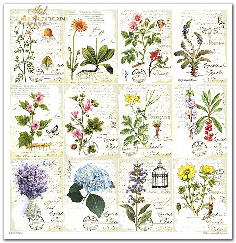 ITD Collection - Herbarium Scrapbooking Papers