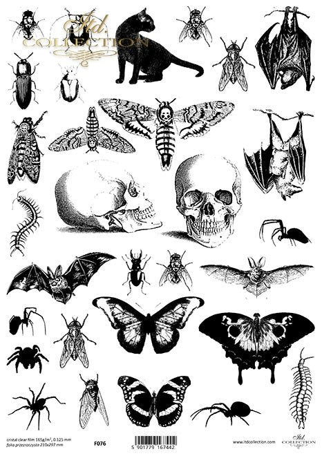 ITD Collection - Halloween Critters Clear Film