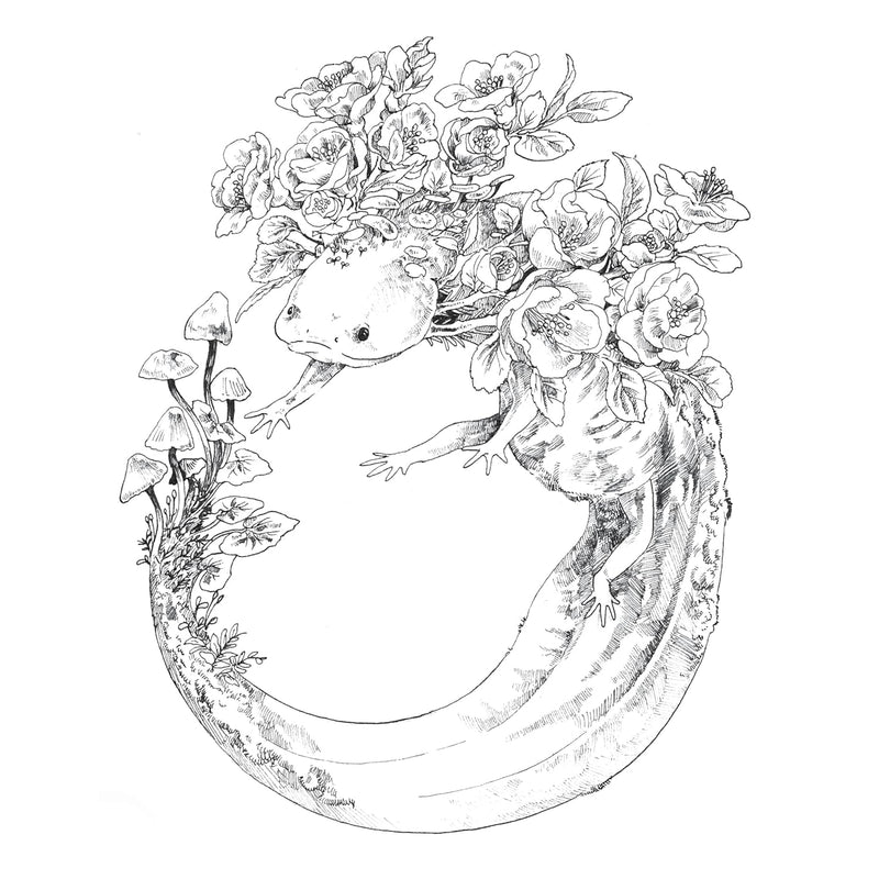 Ken Matsuda - Ecotopia: Color a World of Wonder